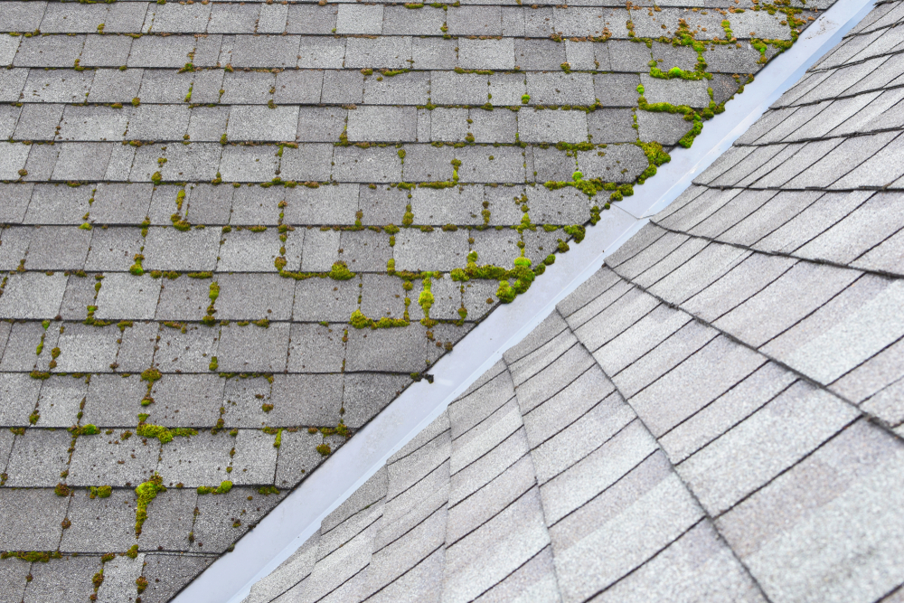 roof washing image